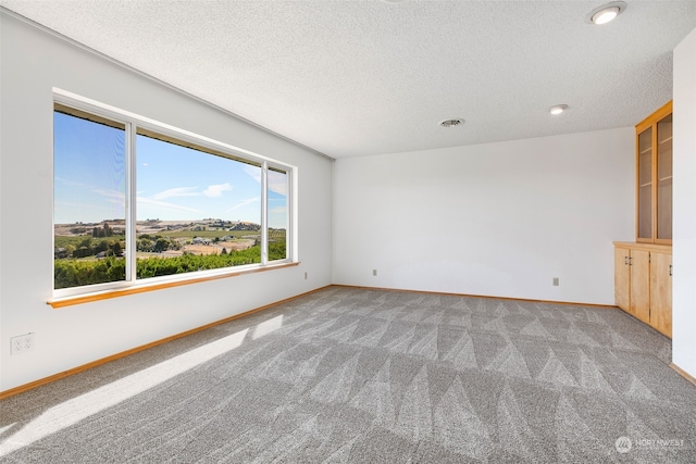 carpeted empty room with a textured ceiling