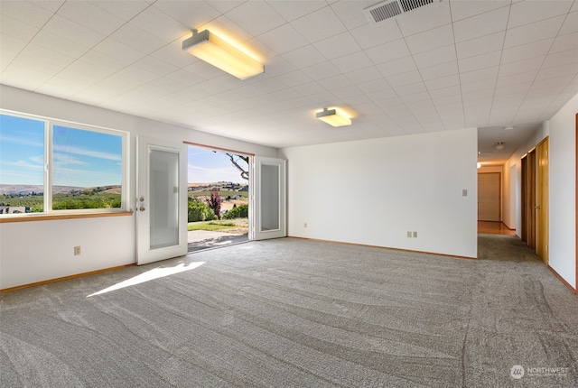 carpeted empty room featuring a wealth of natural light