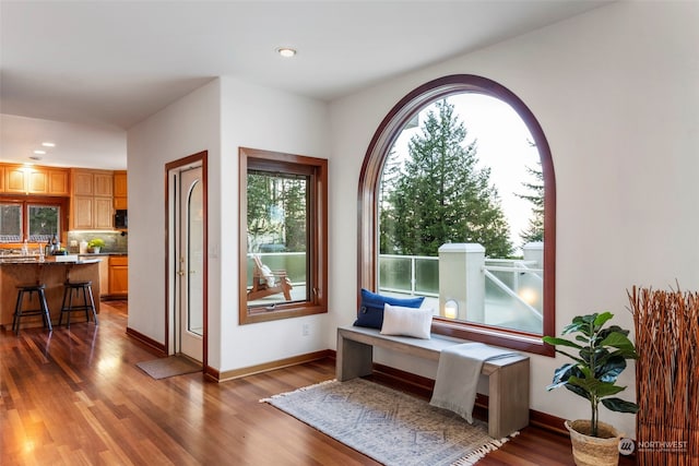 doorway with dark hardwood / wood-style flooring