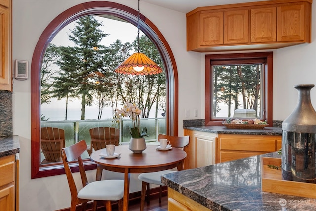 interior space featuring dark stone countertops and wood-type flooring