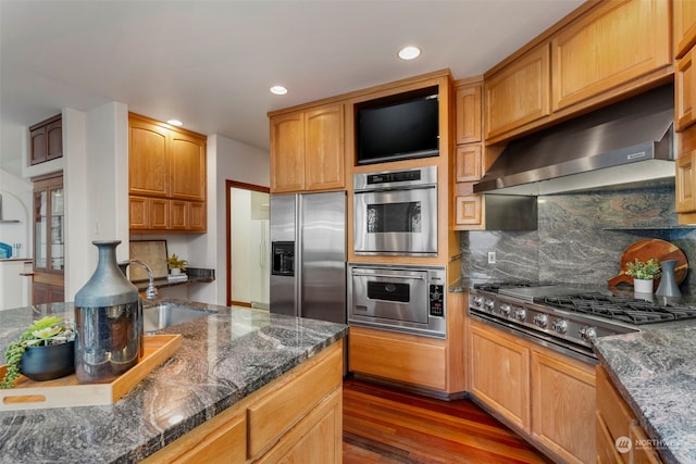 kitchen with appliances with stainless steel finishes, dark hardwood / wood-style flooring, tasteful backsplash, sink, and range hood