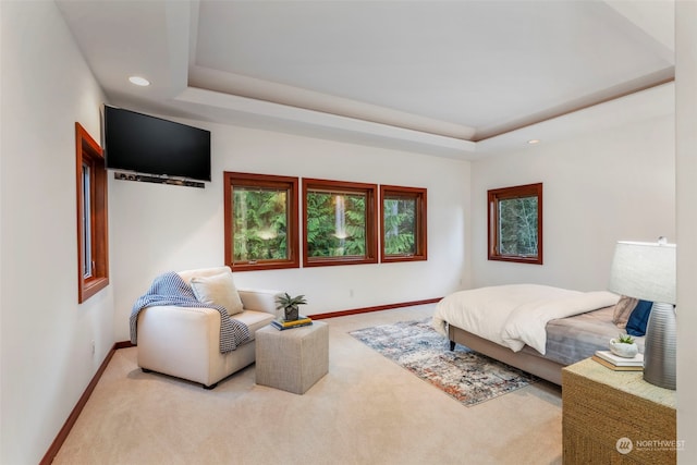 carpeted bedroom featuring a tray ceiling