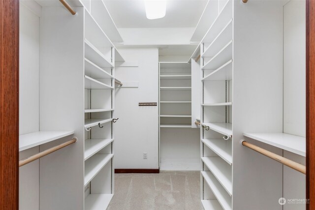 walk in closet featuring light carpet