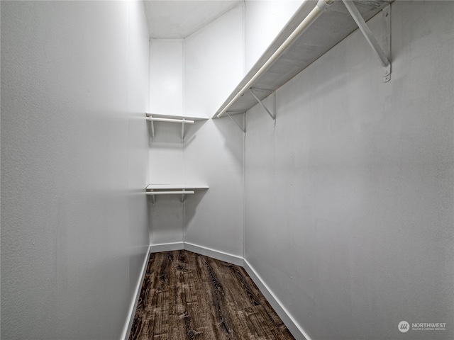 walk in closet with hardwood / wood-style floors