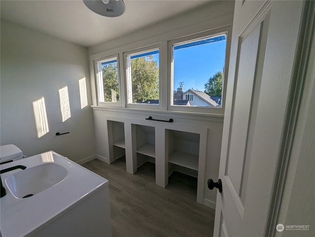 bathroom with wood-type flooring and sink