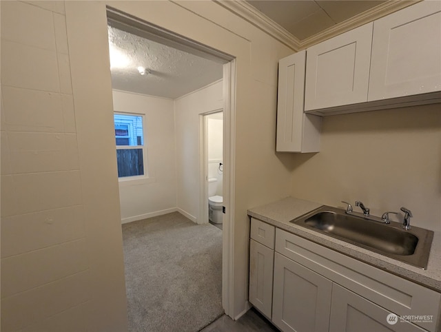 kitchen featuring light carpet, white cabinets, crown molding, sink, and a textured ceiling