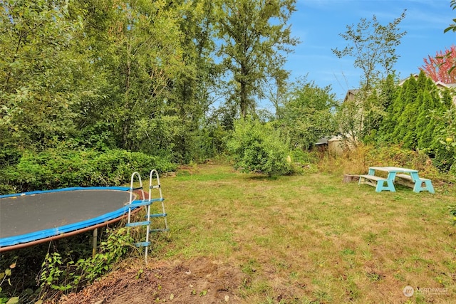 view of yard featuring a trampoline