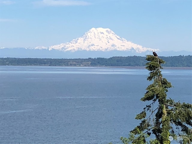 property view of water with a mountain view