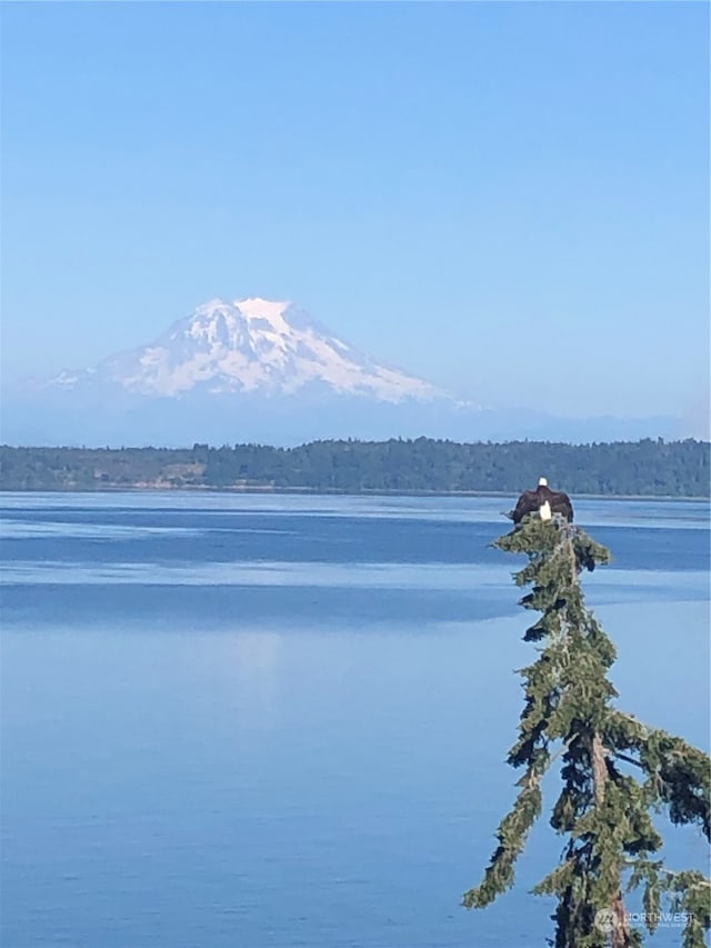 water view with a mountain view