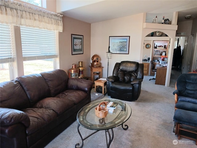 carpeted living room with a wealth of natural light