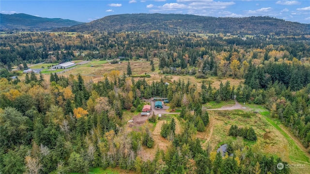 bird's eye view featuring a mountain view