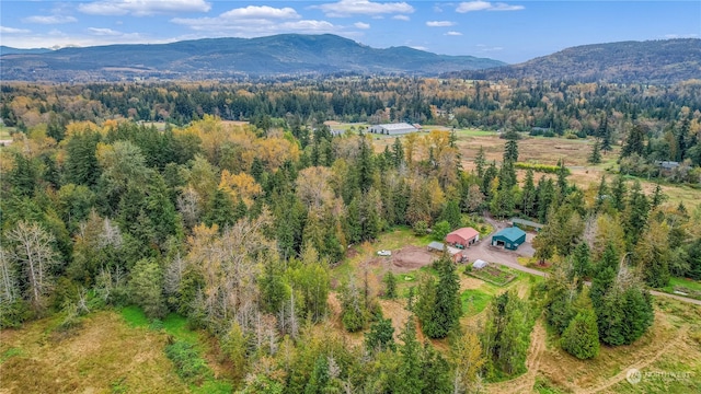 drone / aerial view featuring a mountain view