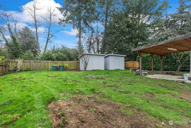 view of yard with a patio area and a storage unit