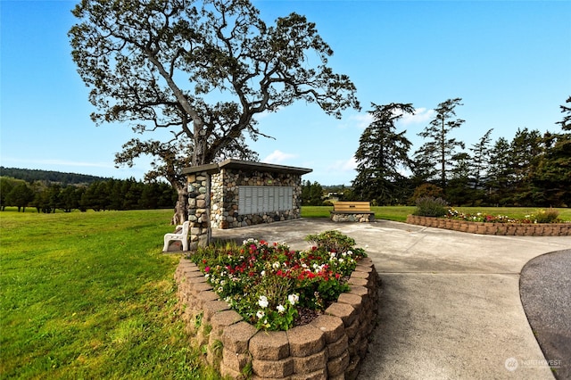 view of yard with a patio area