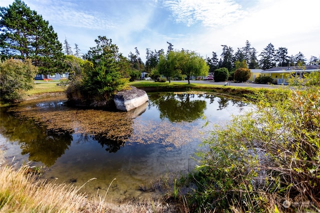 view of water feature