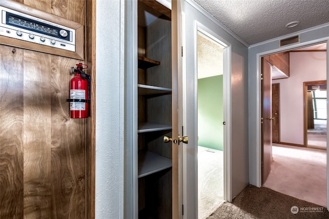 hall with carpet and a textured ceiling