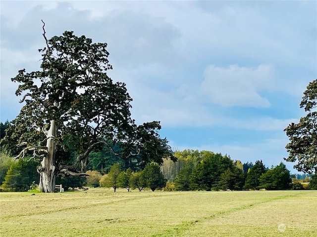 view of nature with a rural view