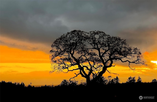 view of nature at dusk