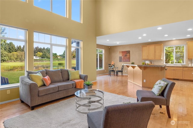 living room with a high ceiling and light wood-type flooring