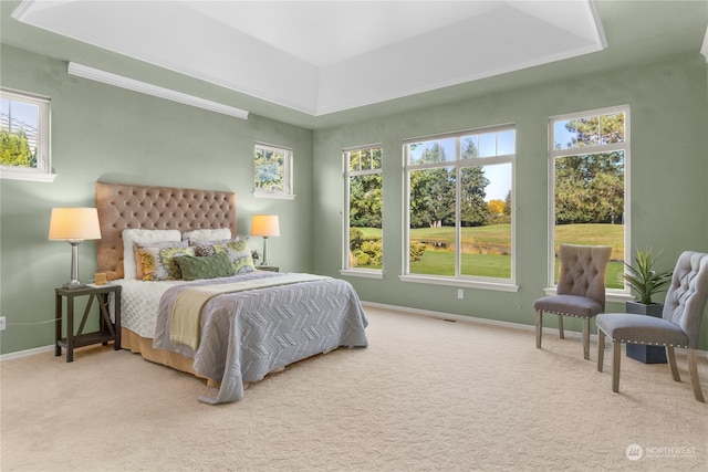 bedroom featuring multiple windows, light carpet, and a tray ceiling