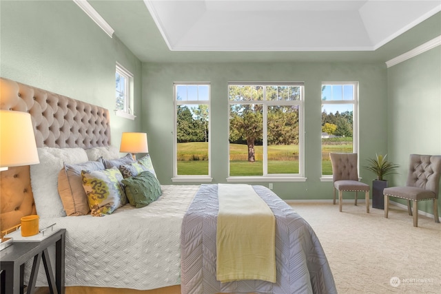 bedroom with crown molding, carpet floors, and a tray ceiling