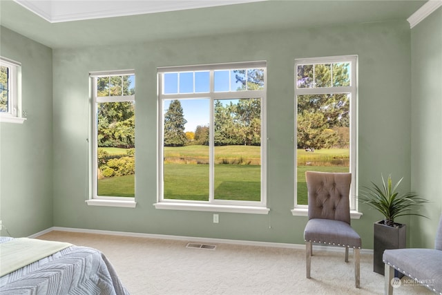 carpeted bedroom with ornamental molding