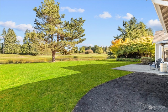 view of yard with a patio