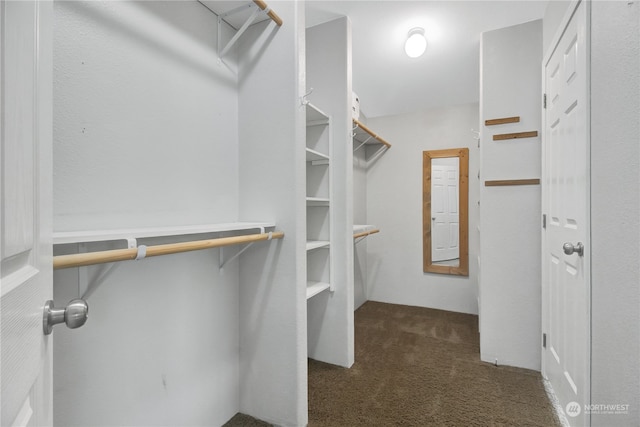 walk in closet with dark colored carpet