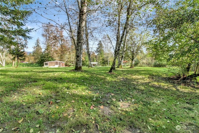 view of yard with an outdoor structure