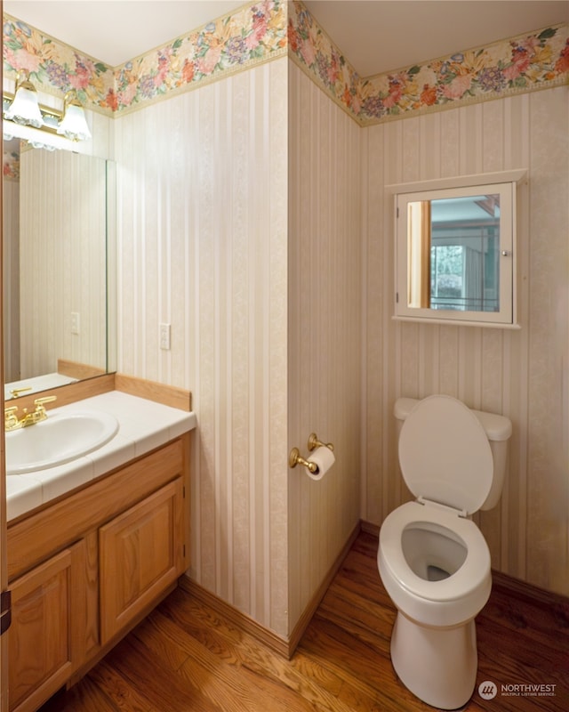 bathroom featuring vanity, wood-type flooring, and toilet