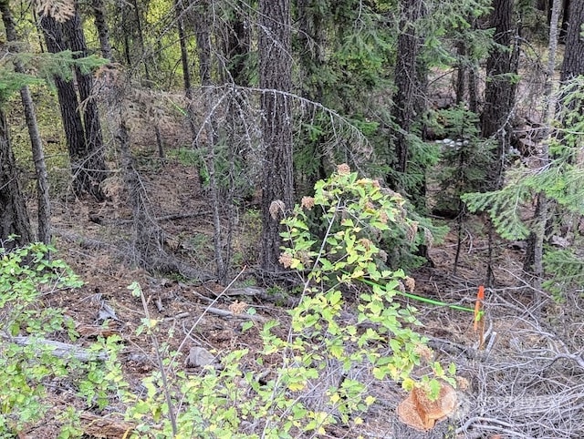 0XX Sawmill Rd, Cle Elum, WA 98922