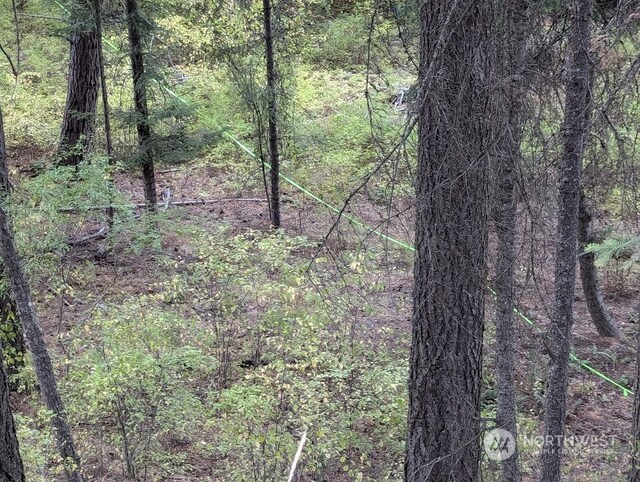 0XX Sawmill Rd, Cle Elum, WA 98922
