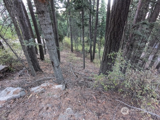 0XX Sawmill Rd, Cle Elum, WA 98922