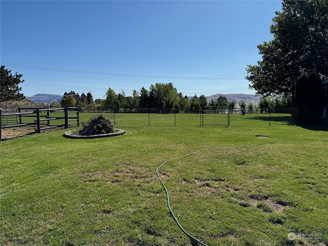 view of yard with a mountain view and a rural view