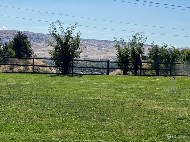 view of yard featuring a mountain view