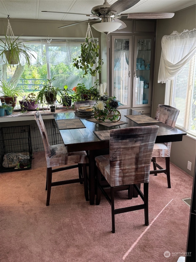 dining space featuring ceiling fan and carpet flooring