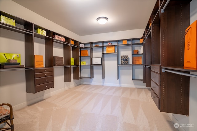 walk in closet featuring light colored carpet