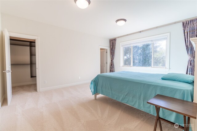 bedroom featuring a spacious closet and light colored carpet