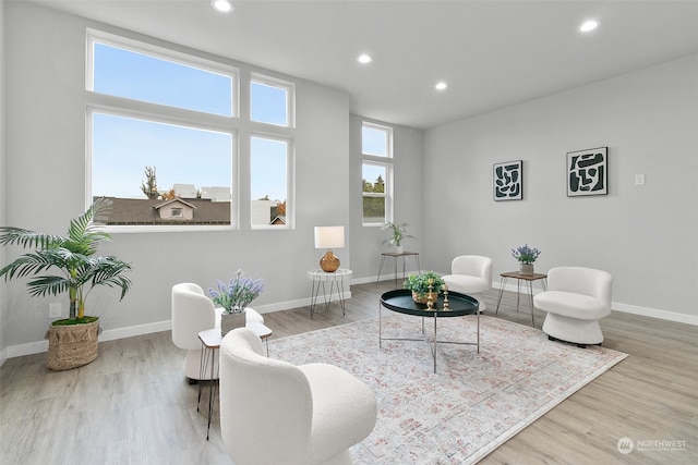 living area featuring hardwood / wood-style floors and a wealth of natural light