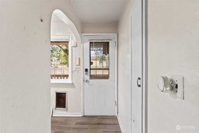 doorway with dark hardwood / wood-style floors