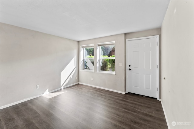 foyer entrance featuring dark hardwood / wood-style flooring