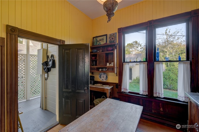 interior space with wooden walls, light hardwood / wood-style flooring, and plenty of natural light