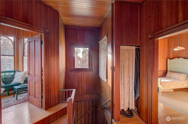 hallway featuring wood ceiling, wood walls, light hardwood / wood-style floors, and plenty of natural light