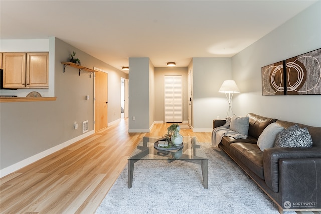 living room featuring light hardwood / wood-style floors