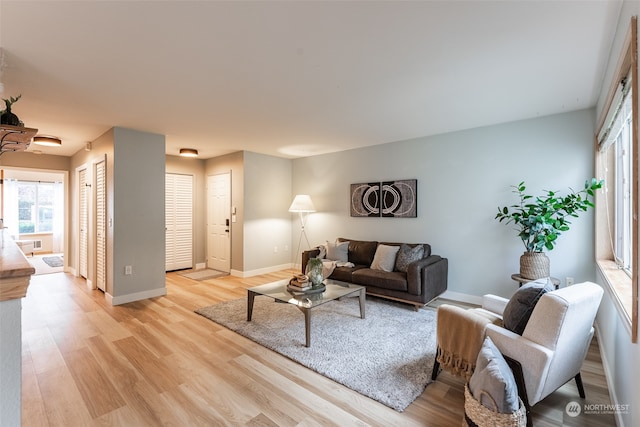 living room featuring light wood-type flooring