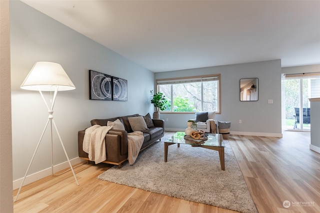 living room featuring a wealth of natural light and hardwood / wood-style floors