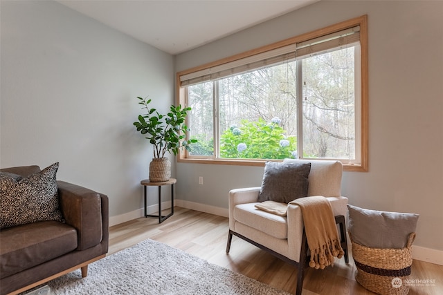 sitting room with plenty of natural light and light hardwood / wood-style floors