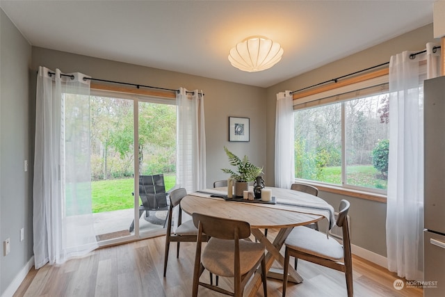 dining space with light hardwood / wood-style flooring and a healthy amount of sunlight