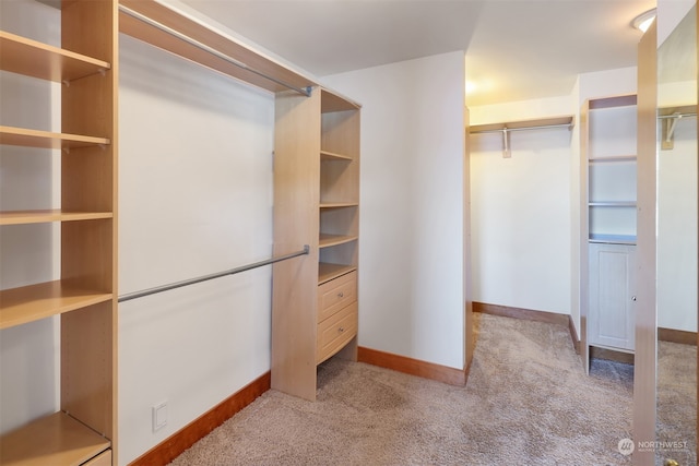 walk in closet with light colored carpet