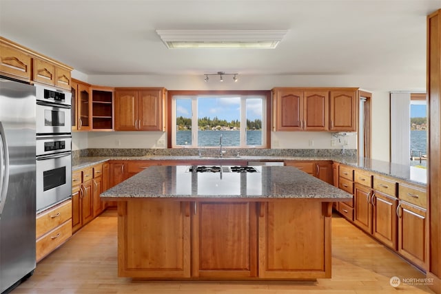 kitchen with a healthy amount of sunlight, stainless steel appliances, and light hardwood / wood-style flooring